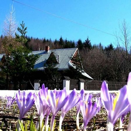 Goralska Czarcia Chata Pod Jalowcem ストリシャバ エクステリア 写真