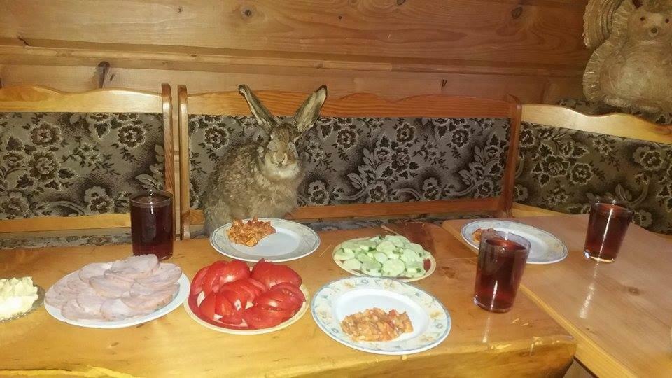 Goralska Czarcia Chata Pod Jalowcem ストリシャバ エクステリア 写真
