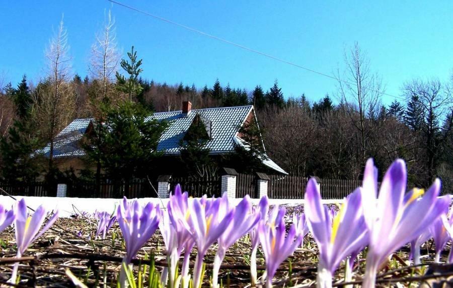 Goralska Czarcia Chata Pod Jalowcem ストリシャバ エクステリア 写真